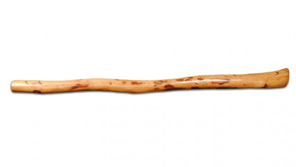 Didgeridoo & Apnée du sommeil 