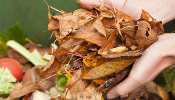 Démarrer un compost