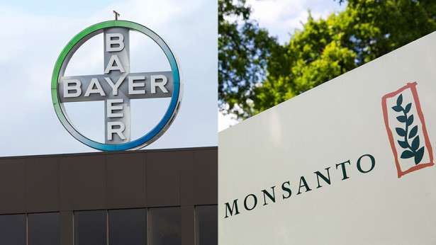 Bayer veut racheter Monsanto