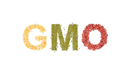 Les OGM  « sans danger » : une conclusion abusive !