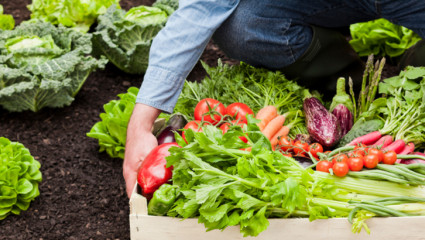 Agriculture bio, l’Europe demande son avis au citoyen