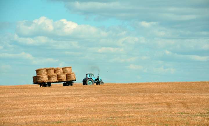 Pour la FNAB, l'Europe doit encourager les agriculteurs à produire mieux et non plus