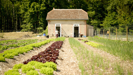 Guilhem Chéron et Maxime de Rostolan : cultivateurs de changement