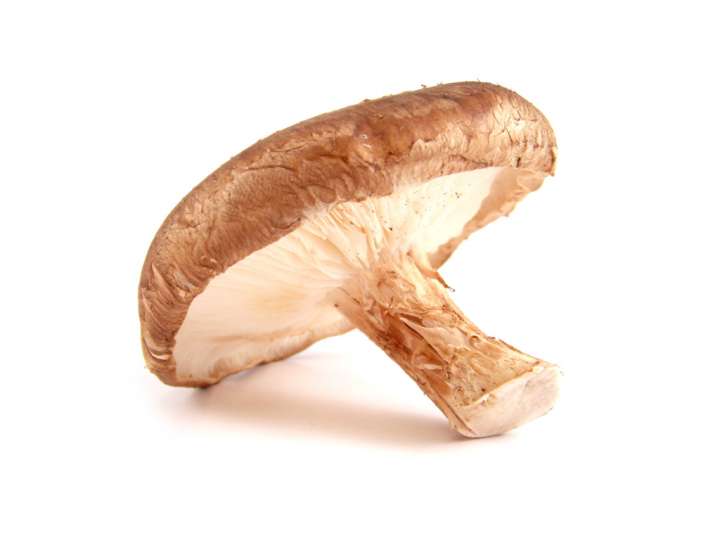 Ces champignons qui nous veulent du bien