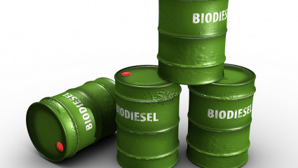 Biodiesel