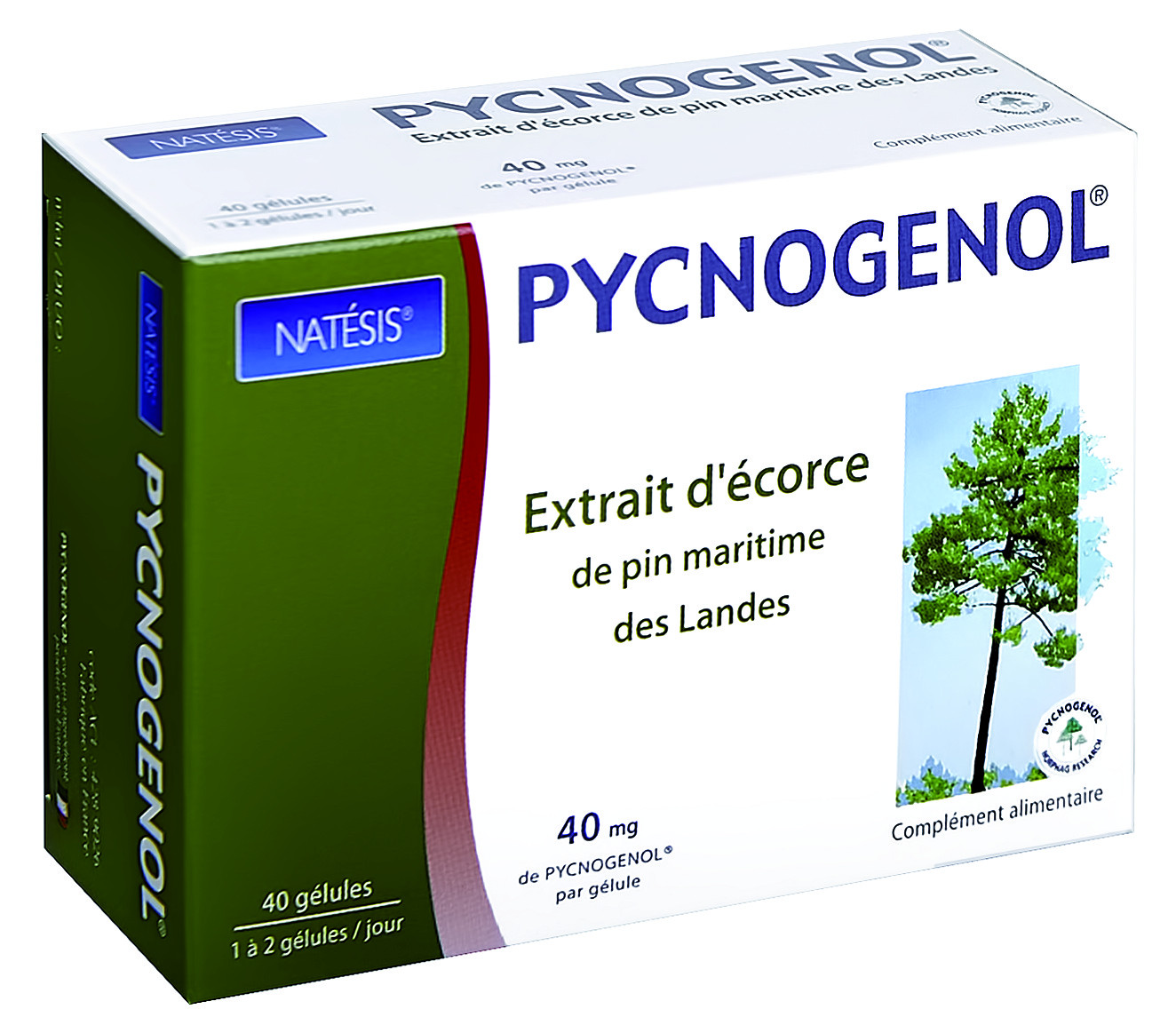 Natesis-Pycnogenol-antioxydant-pin-des-landes-bio-info