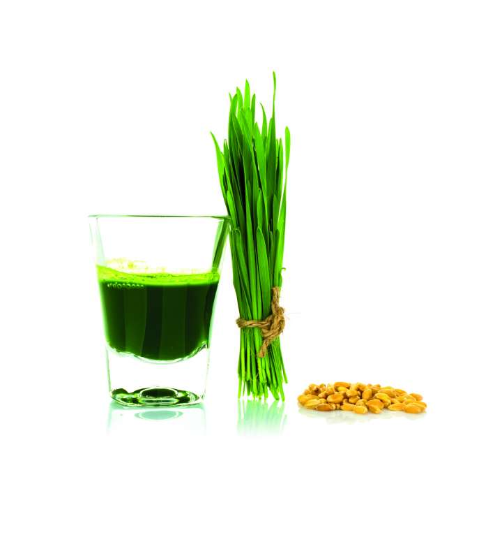 Boire vert avec le jus d'herbe de blé