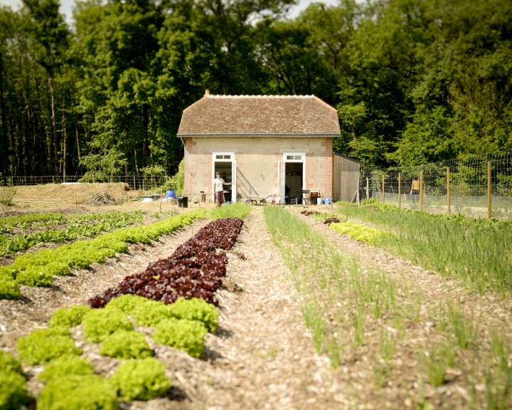 Guilhem Chéron et Maxime de Rostolan : cultivateurs de changement